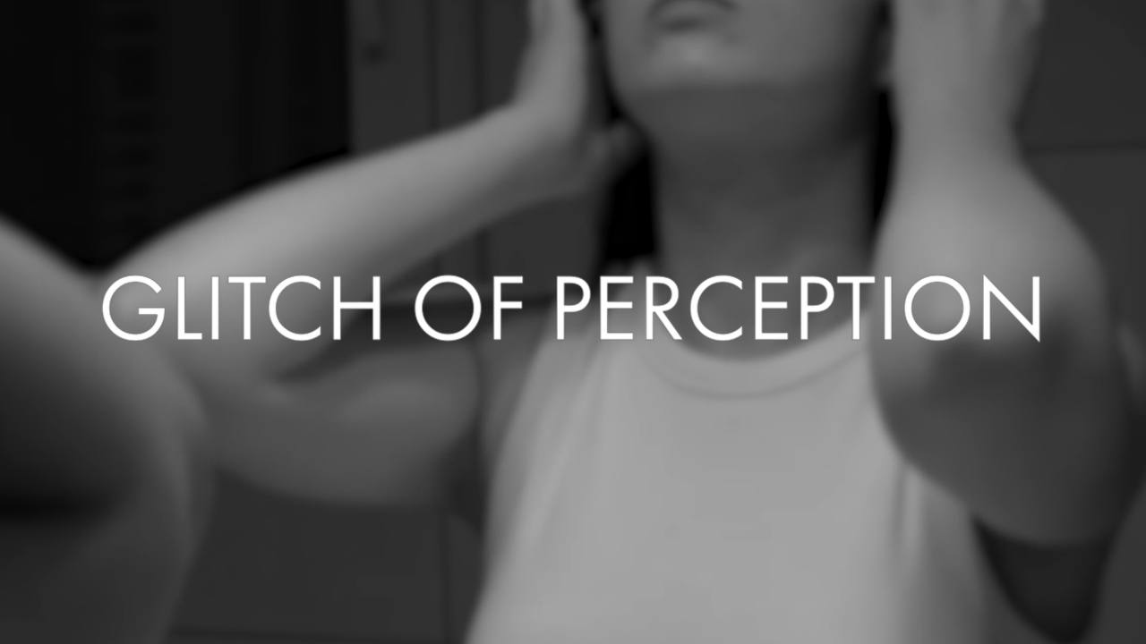 Glitch of Perception, 2025